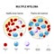 Multiple myeloma. plasma cell myeloma