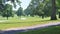 Multiple Paved Paths Passing Through a Green Field with Multiple Tall Trees