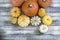 Multiple Pumpkins on wood floor