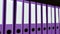 Multiple purple office binders. 3D rendering