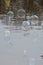 Multiple soap floating bubbles over river