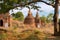 Multiple Stupas and Pagodas Under the Trees Bagan