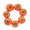 Multiple tomatoes aligned in a circle