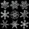 Multiple white snowflakes isolated on black background. Illustration based on macro photo of real snow crystal: elegant