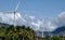 Multiple wind mills in a field in India