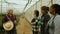 Multiracial women farmers working inside the greenhouse