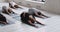 Multiracial young people doing Child Pose asana during yoga class