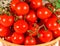 Multitude of cherry tomatoes, close-up view