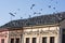 A multitude of pigeons covered the roof of the building