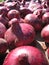 Multitude of red onion with white glares, vertical view.