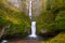 Multnomah Falls by Benson Bridge in Oregon Spring season