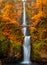 Multnomah Falls in the Columbia River Gorge of Oregon with beautiful fall colors.