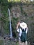 Multnomah Falls Fabulous Photo Spot