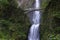 Multnomah Falls and foot bridge in lush green setting near Mount Hood and Portland Oregon in the Columbia River Gorge region