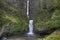 Multnomah Falls in Spring