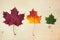 Multocolored maple leaves on wooden background. Autumn leaf