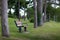 Mumbles memorial bench