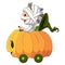 The mummy boy is driving the pumpkin cart