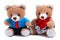 Mummy & Daddy Teddy bears