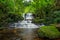 Mun-Dang\'s waterfall with antirrhinum flower