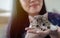 Munchkin kitten lies on woman\\\'s hands. The fluffy pet comfortably settled to sleep or to play