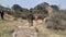 Mundhum trail mundum trail root of temke danda Bhojpur Nepal