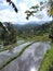 Munduk middle of Bali rice field with water reflect early morning hike