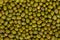 Mung bean background. Green bean mash texture. Legumes