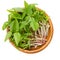 Mung bean microgreens in wooden bowl