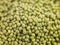 Mung Beans