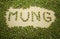MUNG word written with dry mung beans seeds, healthy diet vegetable protein organic ingredient