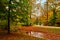 Munich English garden Englischer garten park in autumn. Munchen, Bavaria, Germany