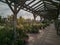 Munich, Germany - 2021 09 27: Roofed aisle in outdoor area of garden center with flower plants and fruit trees on display for sale