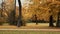 MUNICH, GERMANY, November 19, 2019: Autumn Cycling walk in the English garden in Munich. Locked down real time shot