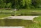 munich, isar, brudermuehlbruecke, Mai 22, 2019: storm deep axel is flooding the isar in munich, a dog having fun in the floods