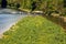 Munich, Isar river in summer