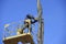 Municipal worker cutting dead standing tree with chainsaw using truck-mounted lift