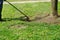 A municipal worker in an lawn mower mows fresh, green grass on the lawn near residential building