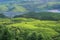 MUNNAR-MISTY MORNING