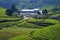 Munnar - Tea Plantation