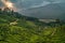 Munnar tea plantation at sunset kerala india green