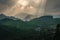 Munnar tea plantation at sunset kerala india green