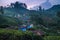 Munnar tea plantation at sunset kerala india green little village