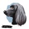 Munsterlander large, German originated dog digital art illustration portrait. Profile closeup of breed purebred offshoot