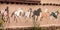 Mural depicting wild painted horses on walls of Taos