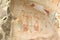 Mural painting 13th century, David Gareja and Udabno monastery