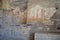 Murals on the Roman Forum , Rome