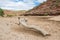 Murchison River Gorge Landscape: Drought