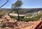 Murchison River Loop in Kalbarri National Park, Western Australia, natural bush landscape