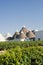 Murge (Apulia, italy) - Trulli and vines